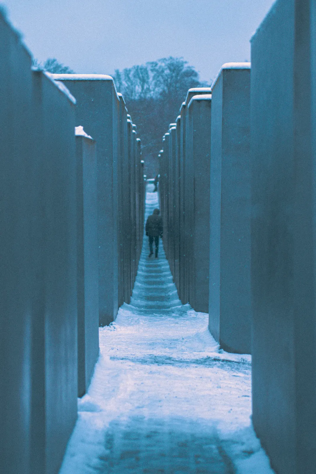 Photograph 51 by Maxime Weimar