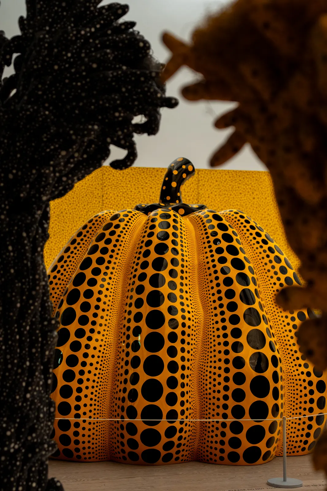 Photograph 59 by Maxime Weimar